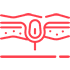 ico-borgyogyaszat