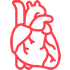 ico-cardiologia